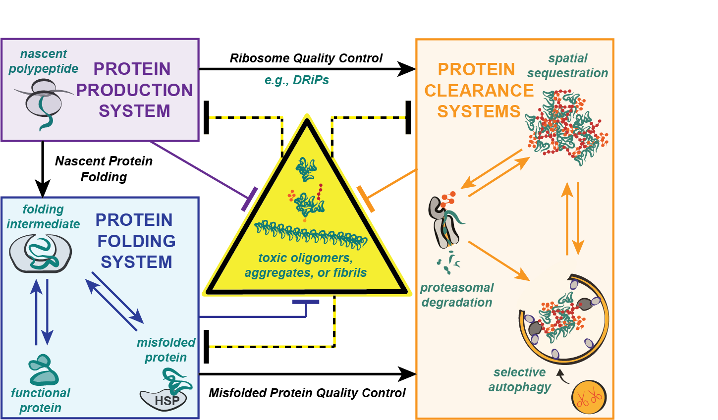 Integration of different components