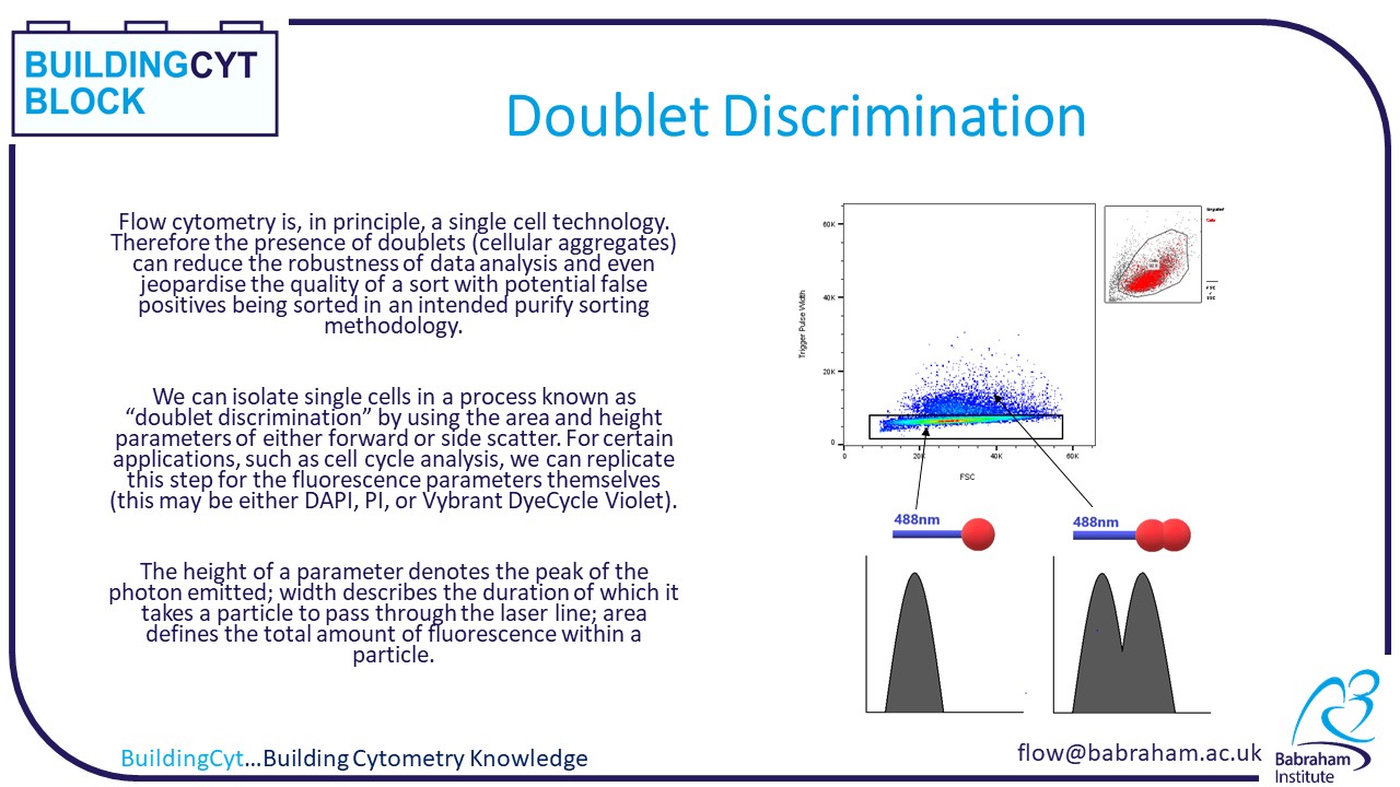 Doublet Discrimination