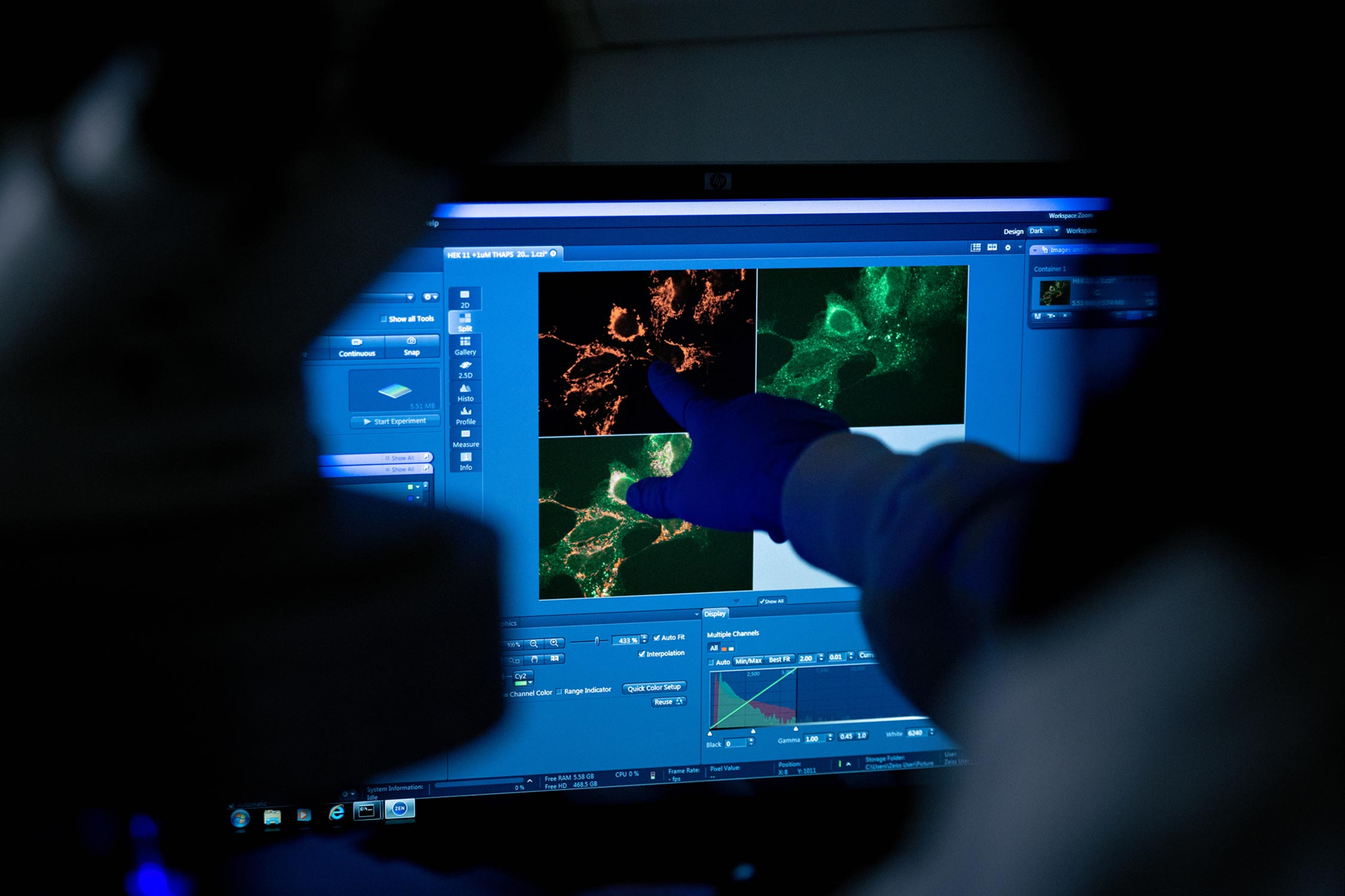 People looking at a cellular image on a computer screen