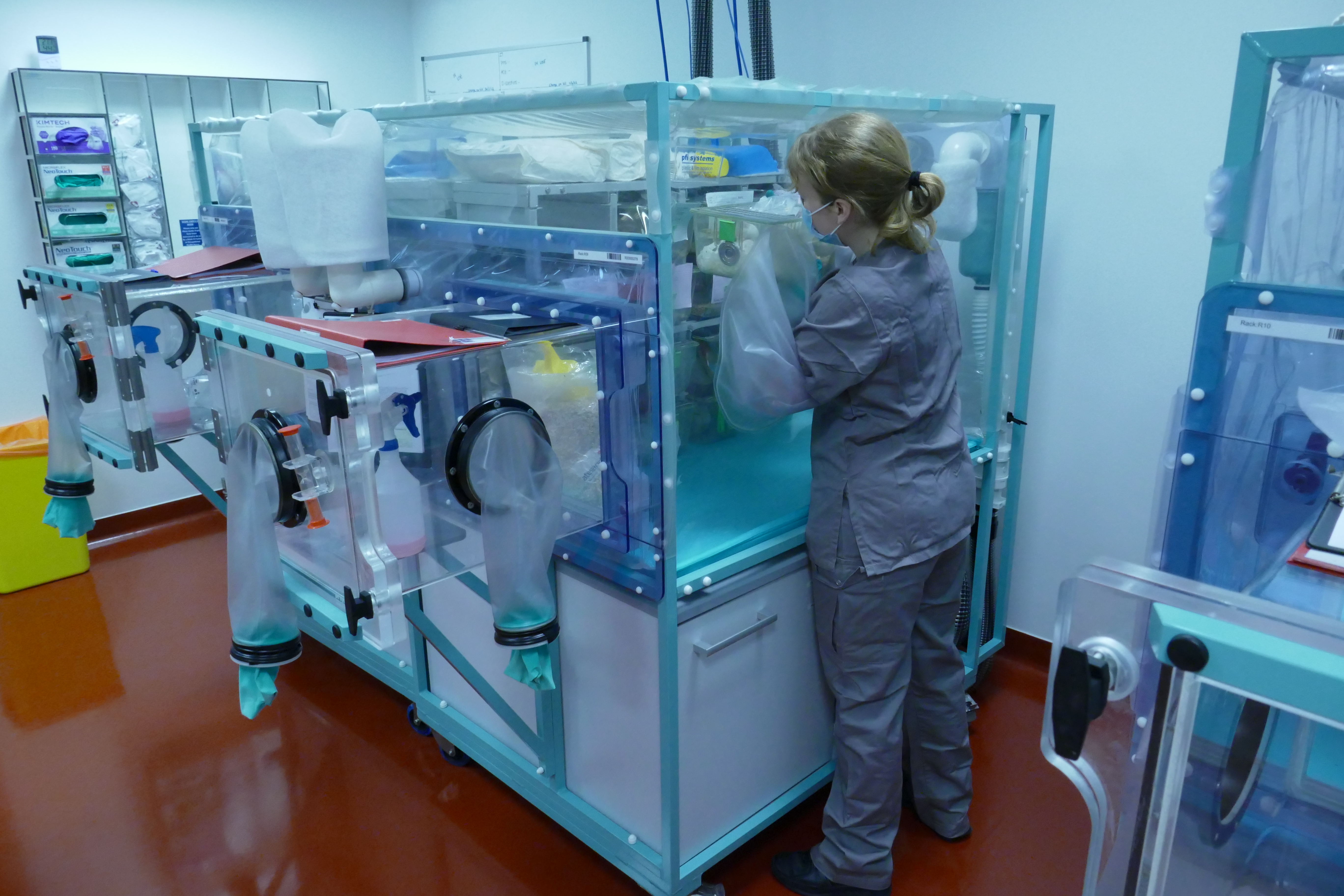 Animal technician working in the isolators