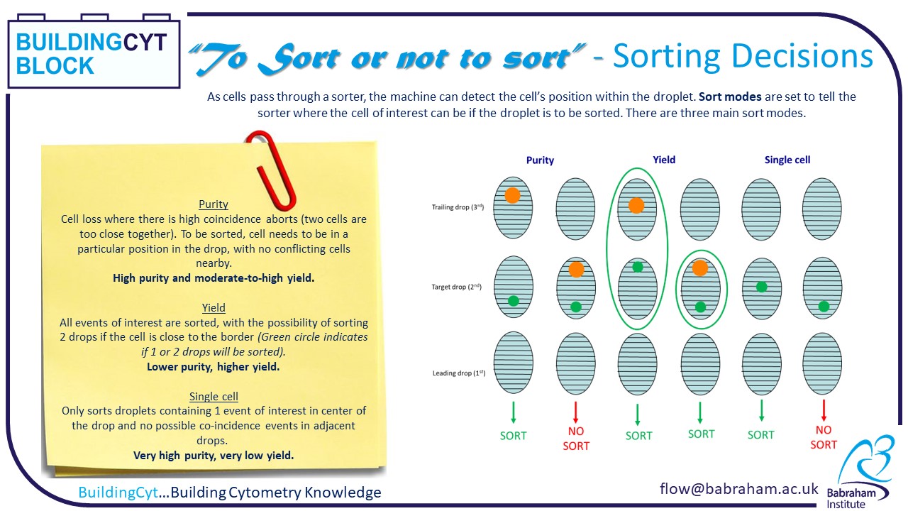 Sorting Decisions 