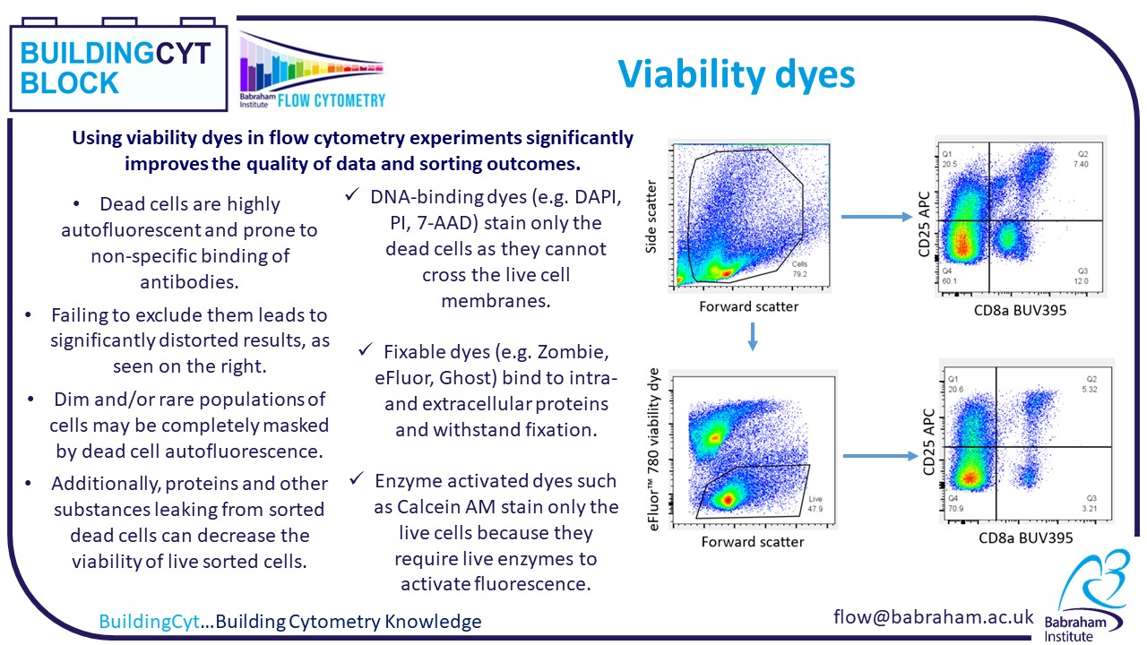 Viability Dyes