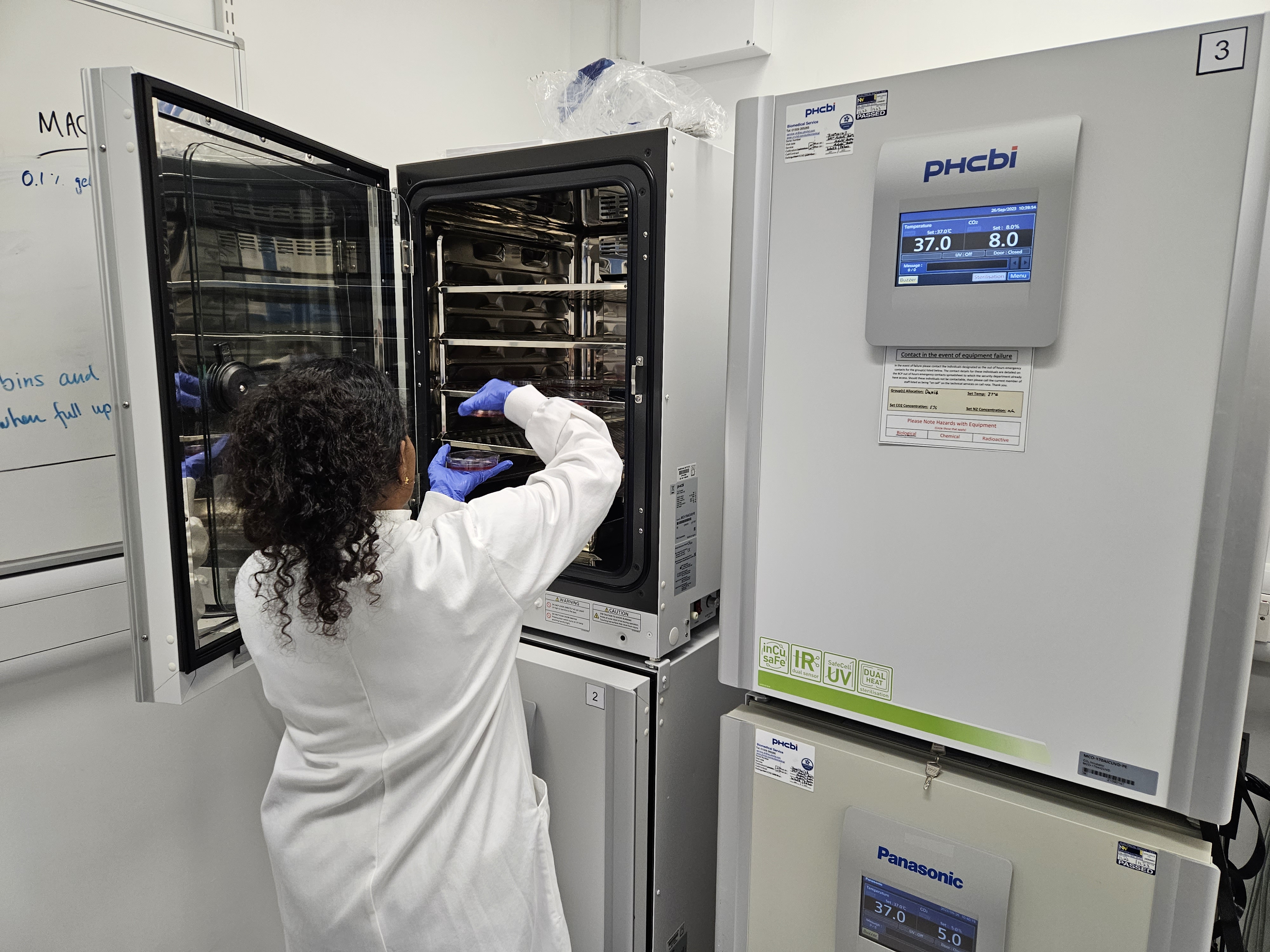 Jayalini collecting plates from the incubator