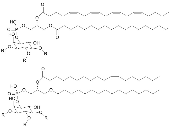 Biological Chemistry molecules