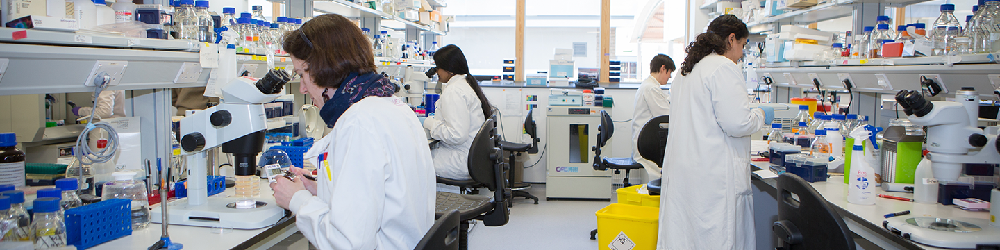 Group working in the lab