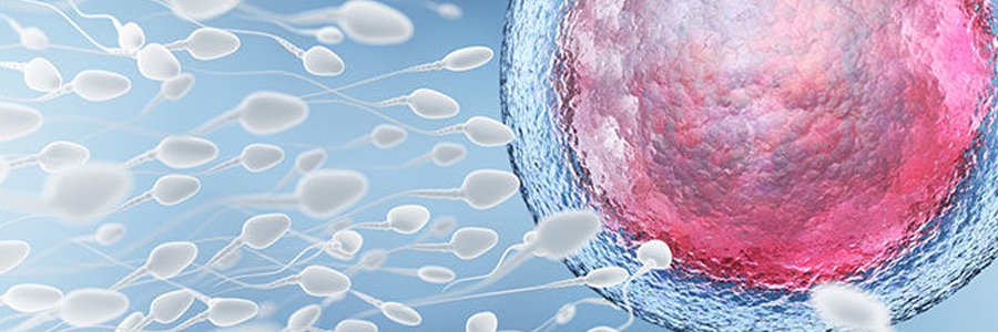 Kelsey lab research on What is Epigenetics