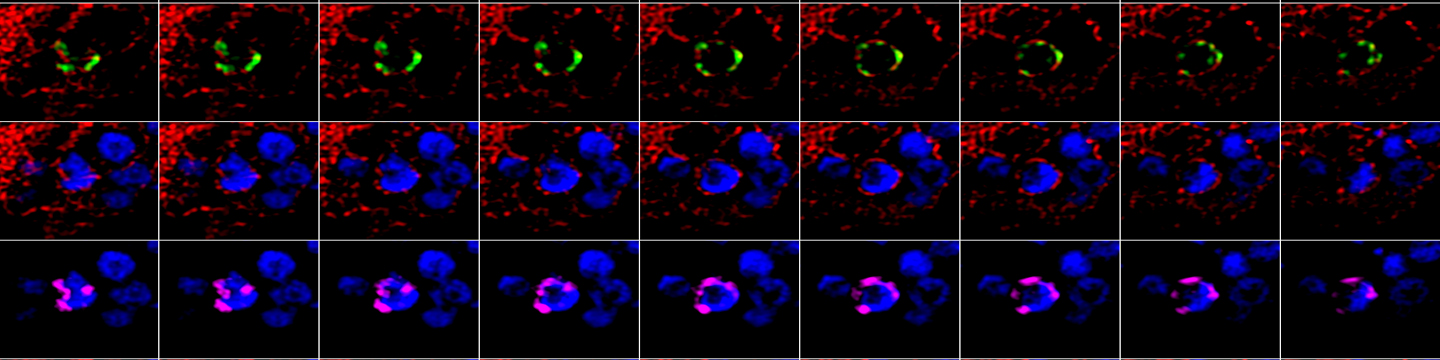 Ziyue science image